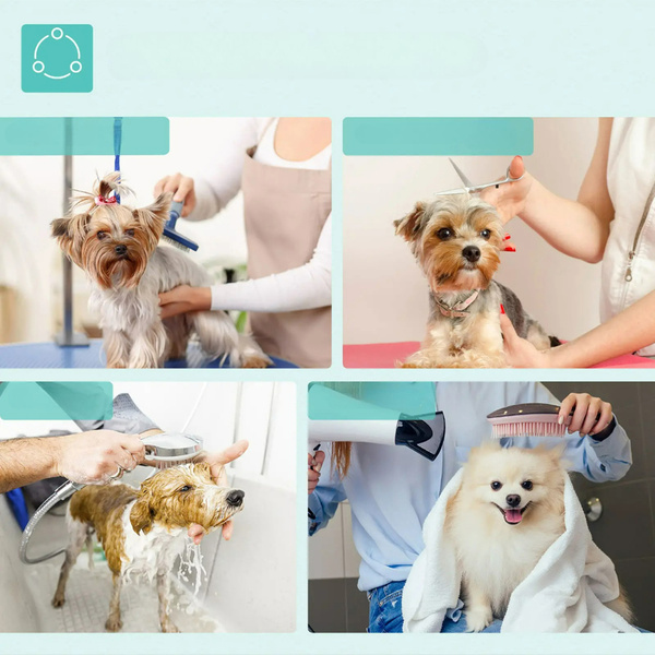 STÓŁ GROOMERSKI TRYMERSKI WETERYNARYJNY PIELĘGNACYJNY DLA PSÓW KOTÓW