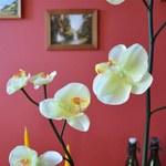 SZTUCZNA ORCHIDEA STORCZYK KWIAT SZTUCZNE KWIATY
