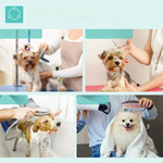 STÓŁ GROOMERSKI TRYMERSKI WETERYNARYJNY PIELĘGNACYJNY DLA PSÓW KOTÓW