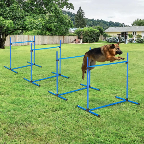 ZESTAW AGILITY TRENINGOWY 4-CZĘŚCIOWY DLA PSA SLALOM + POKROWIEC