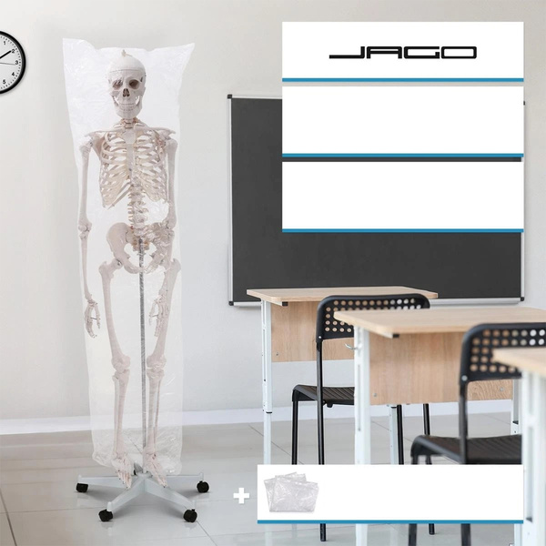 SZKIELET CZŁOWIEKA LUDZKI MODEL ANATOMICZNY 181,5 CM NA STOJAKU