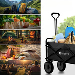 WÓZEK PRZYCZEPKA TRANSPORTOWA BAGAŻOWA PLAŻOWA DO 100KG SKŁADANA