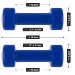 ZESTAW HANTLE WINYLOWE 2x 2,5 KG MAXXIVA NIEBIESKIE CIĘŻARKI FITNESS