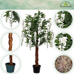 SZTUCZNE DRZEWO WISTERIA GLICYNIA BIAŁA 120 CM